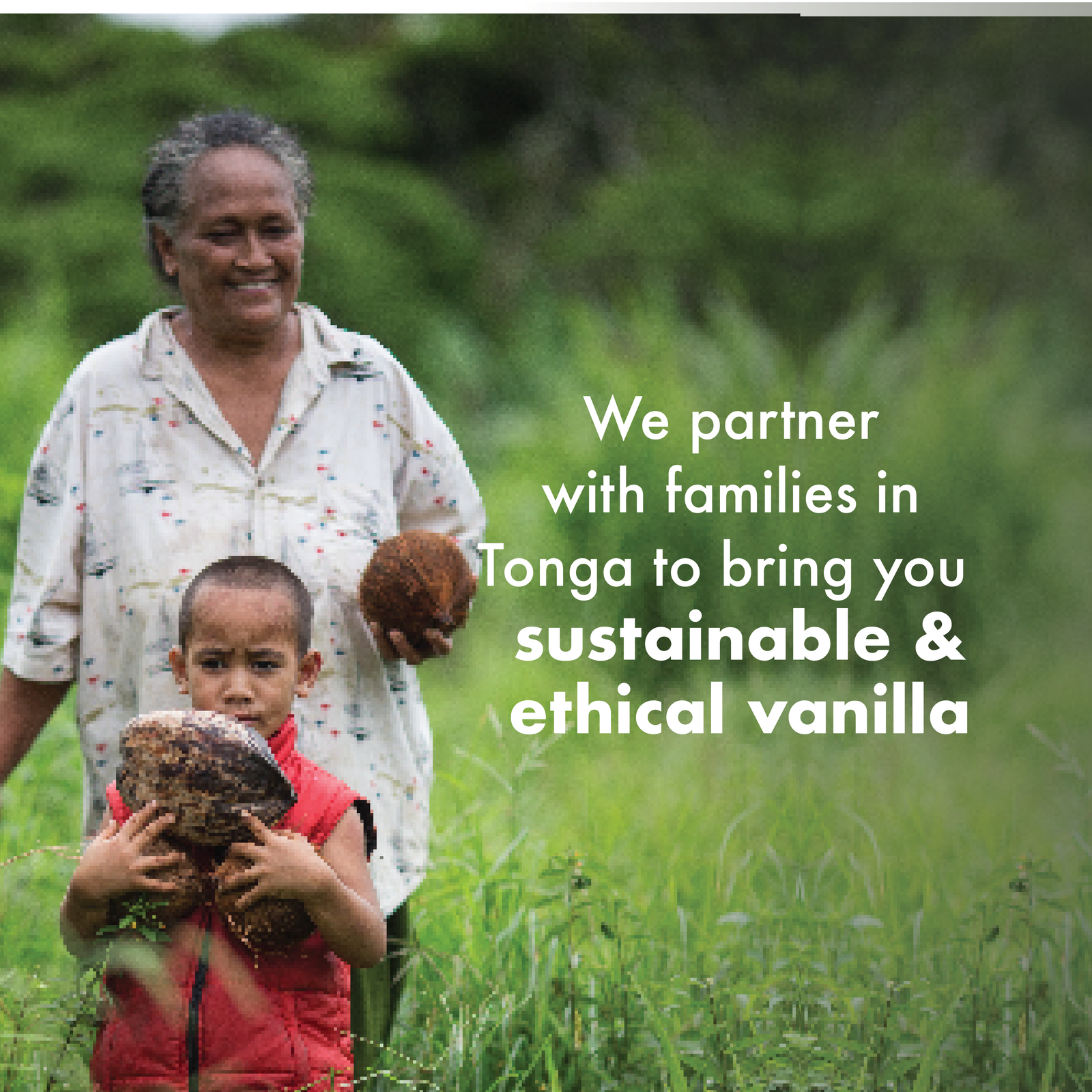 Heilala x Bon Appétit Vanilla Extract - 1.69 fl oz (Double Fold)