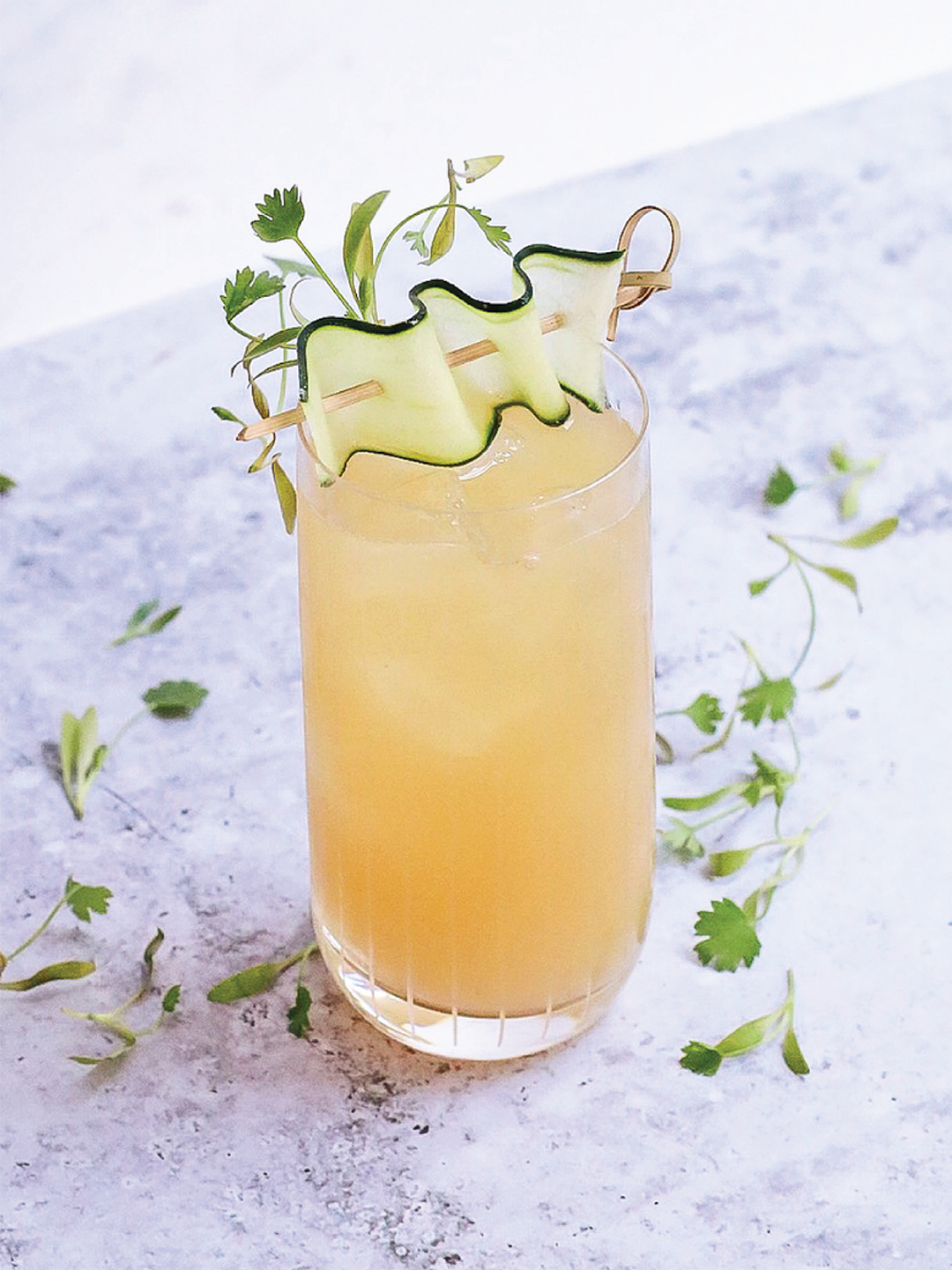 Vanilla, Lime, Ginger Fizz Cocktail