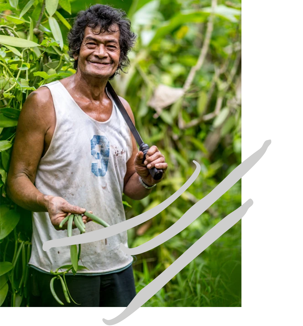 man in the bean crop holding vanilla beans