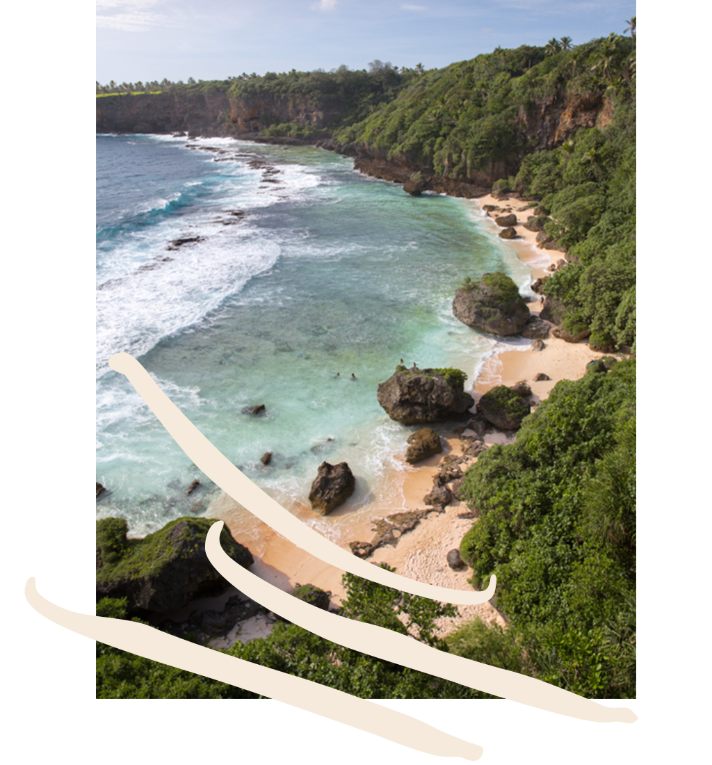 view of a tropical beach