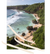 view of a tropical beach